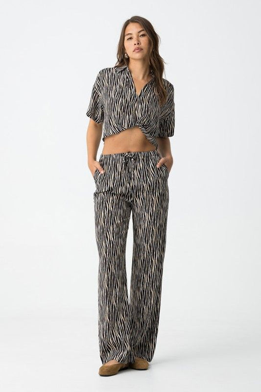 Zebra - PANTALONE - TIFFOSI