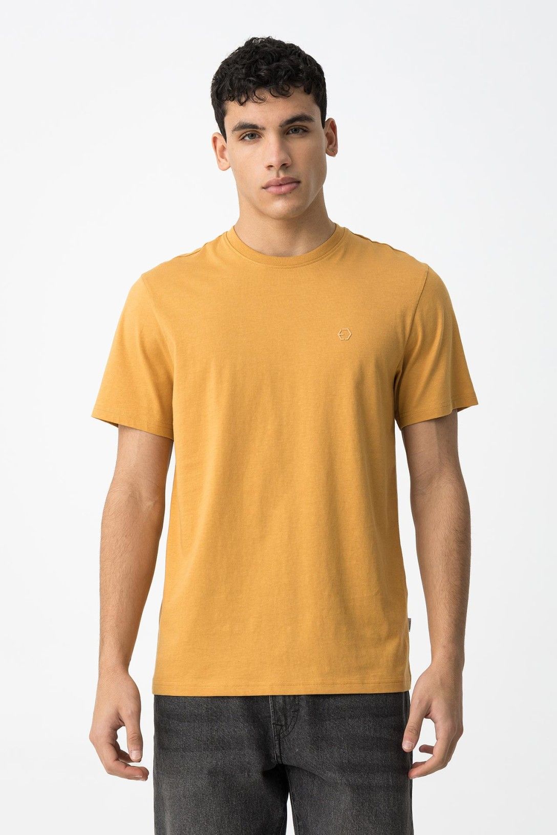 Barton_1 - TSHIRT - TIFFOSI
