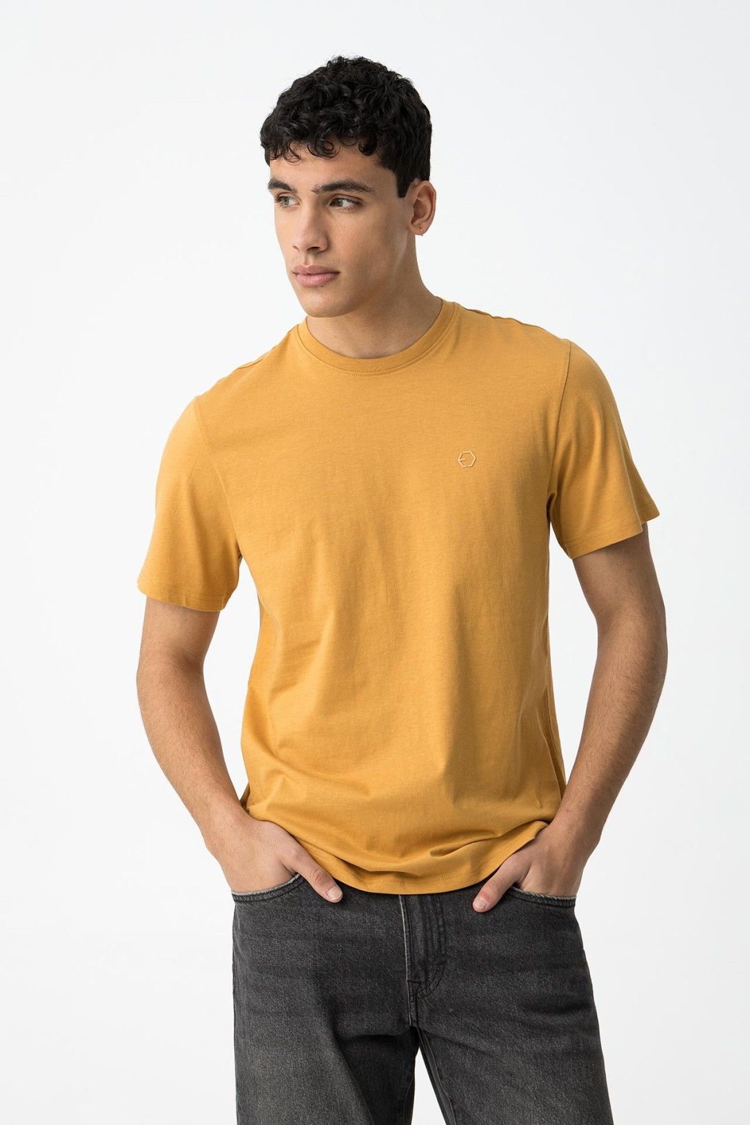 Barton_1 - TSHIRT - TIFFOSI