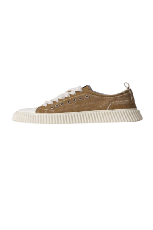 AS36 V6 - SCARPA - ASENSYO