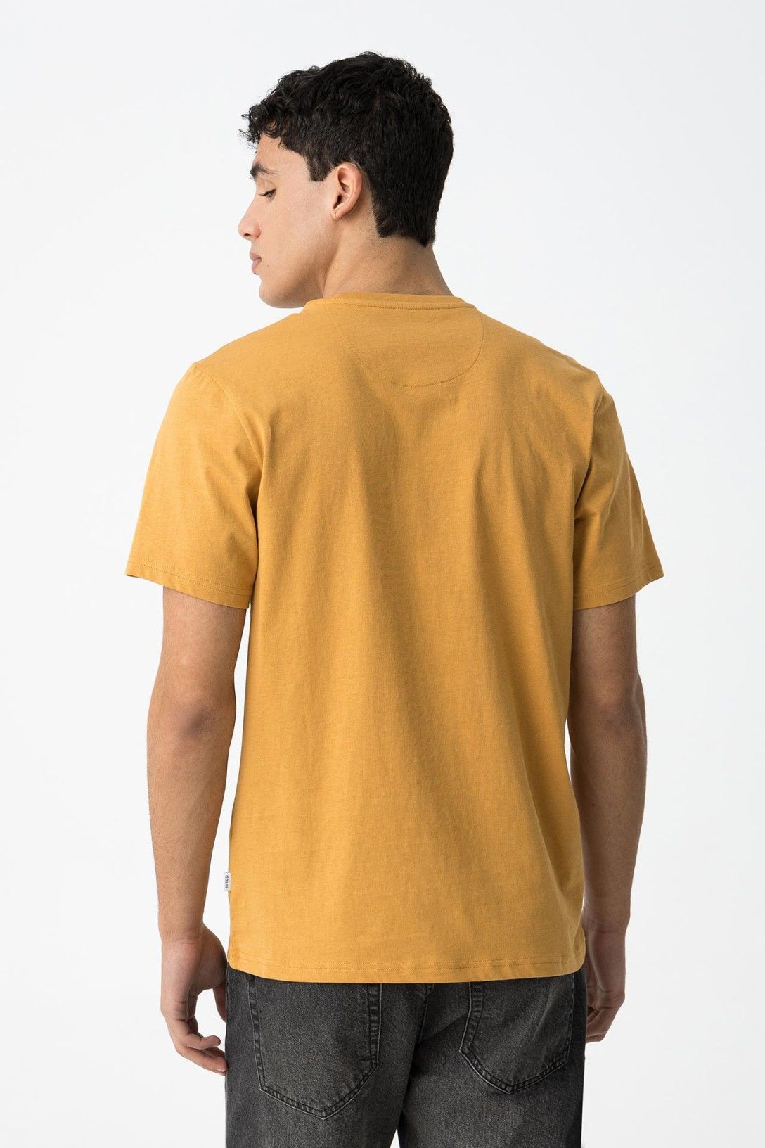 Barton_1 - TSHIRT - TIFFOSI