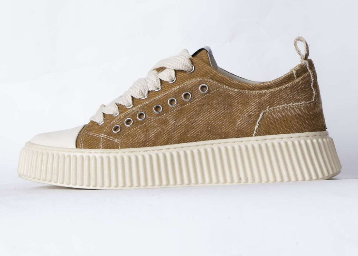 AS36 V6 - SCARPA - ASENSYO